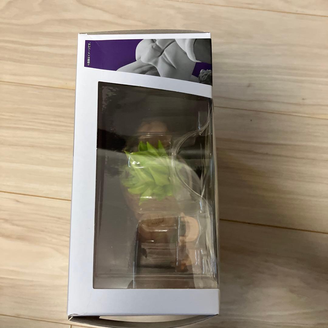 S.H.Figuarts スーパーサイヤ人ブロリーフルパワー　新品未開封
