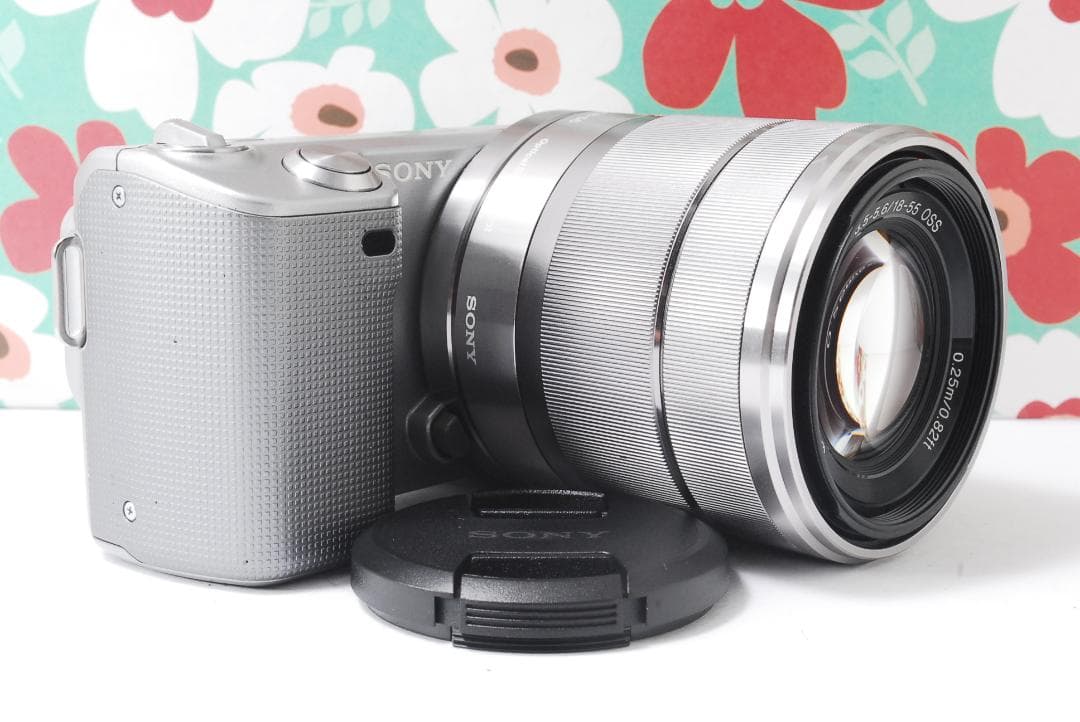 ❤お散歩カメラ❤ミラーレス❤SONY NEX-5❤スマホに送れる❤