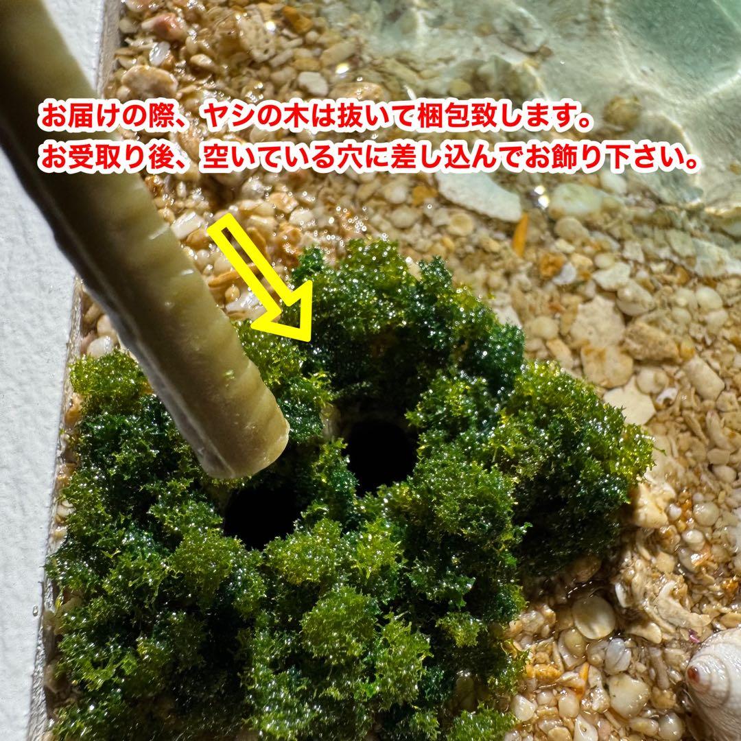 【夕焼けの海】 レジンアート オーシャンアート 海 ハンドメイド インテリア