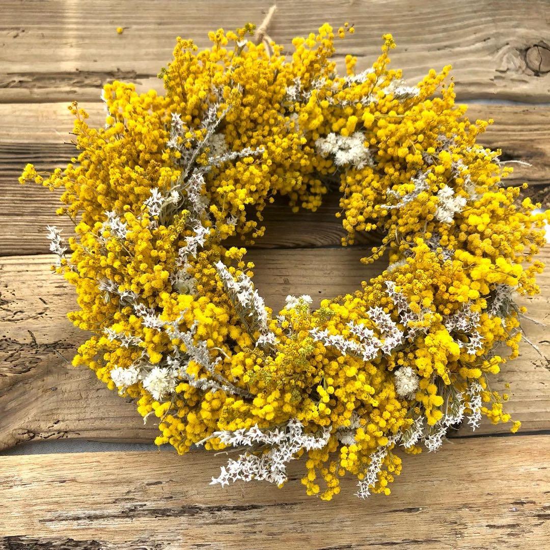 ミモザリース　ミモザ