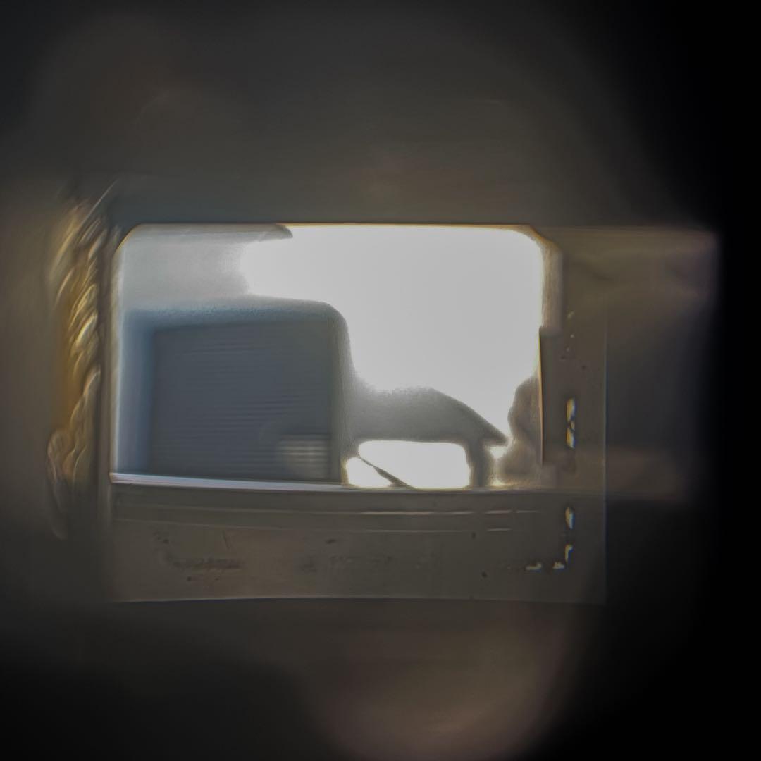 COSINA CX-2 コシナ