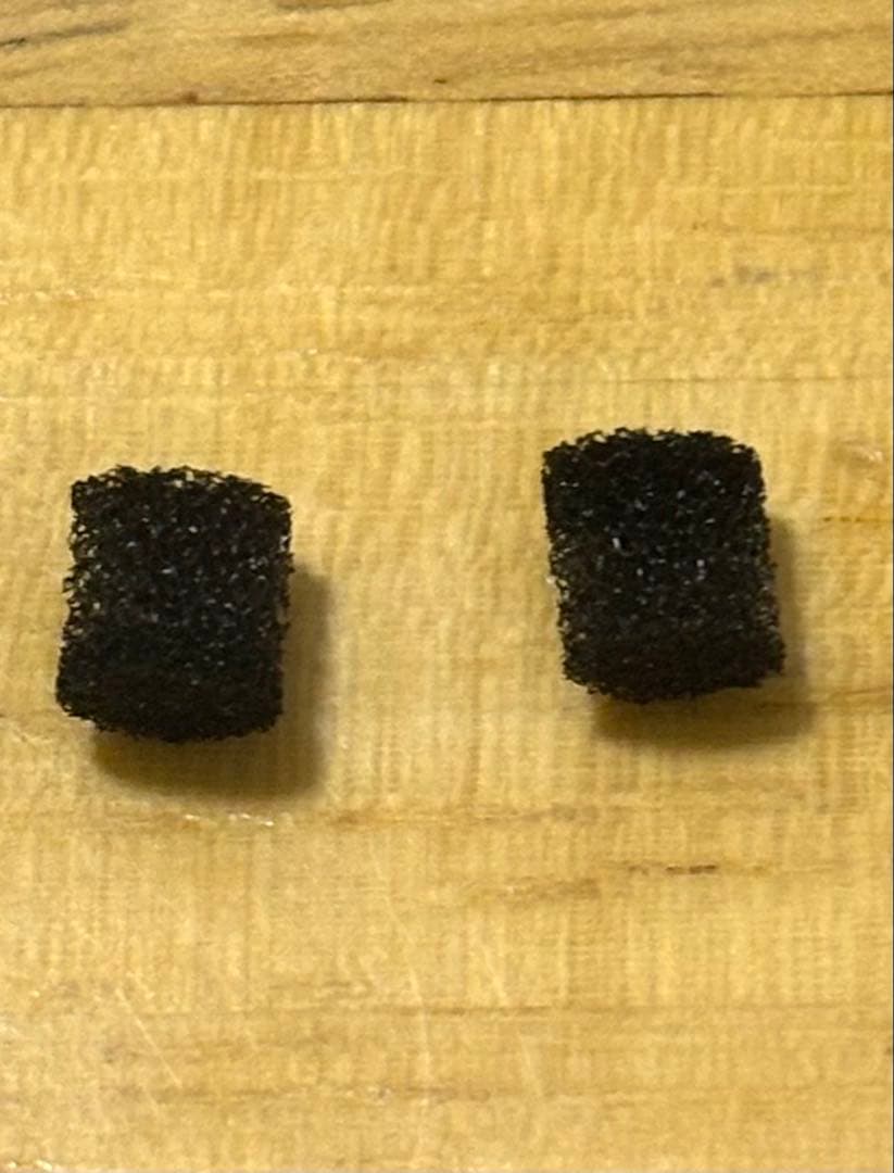 【ジャンク扱い】SONY WF-1000XM4