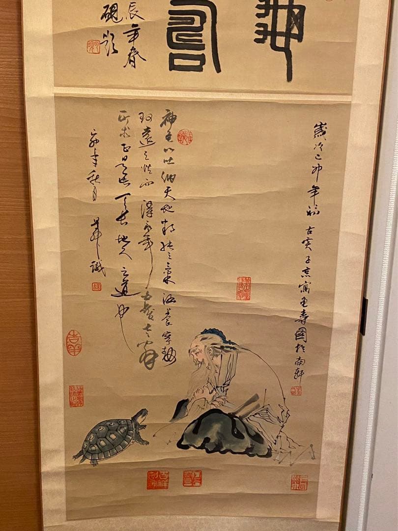 掛軸 在銘（作者不明） ＂神龜図＂中国画 紙本肉筆 箱無