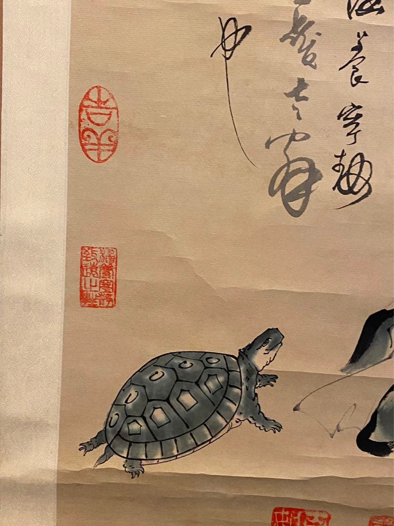 掛軸 在銘（作者不明） ＂神龜図＂中国画 紙本肉筆 箱無