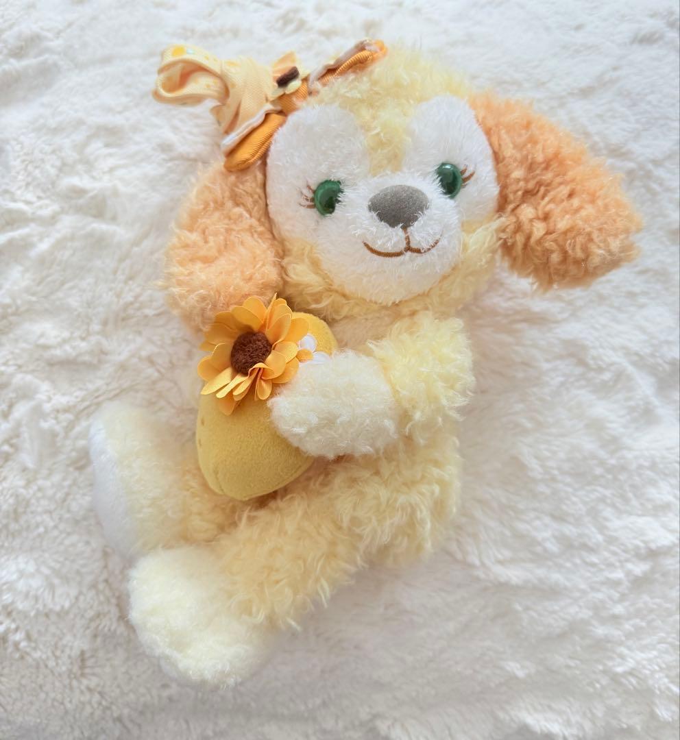 【Tasty Summer Surprise】クッキーアンセット