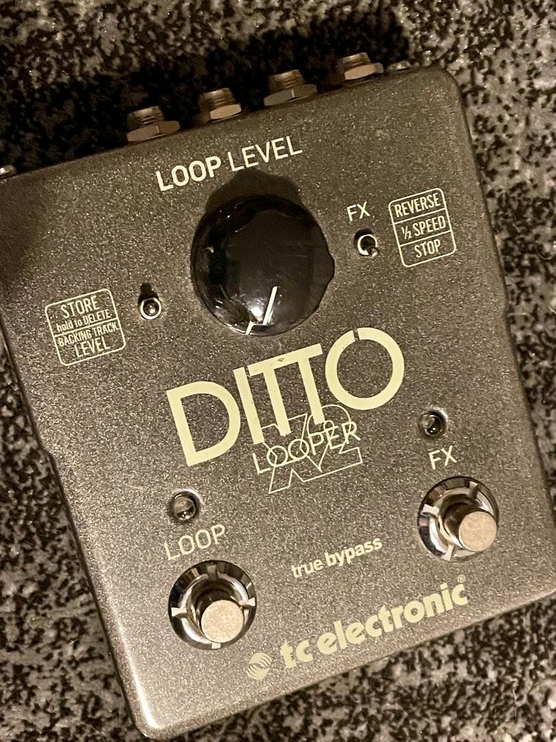 ギター DITTO LOOPER X2 TC Electronic