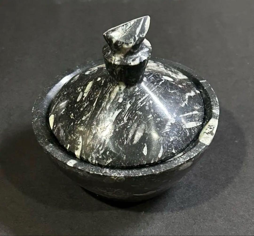 オルソセラス ゴニアタイト 化石 デボン紀石灰岩 小物入れ