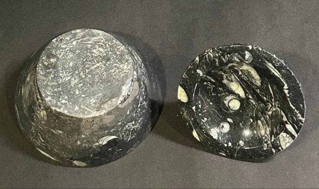 オルソセラス ゴニアタイト 化石 デボン紀石灰岩 小物入れ