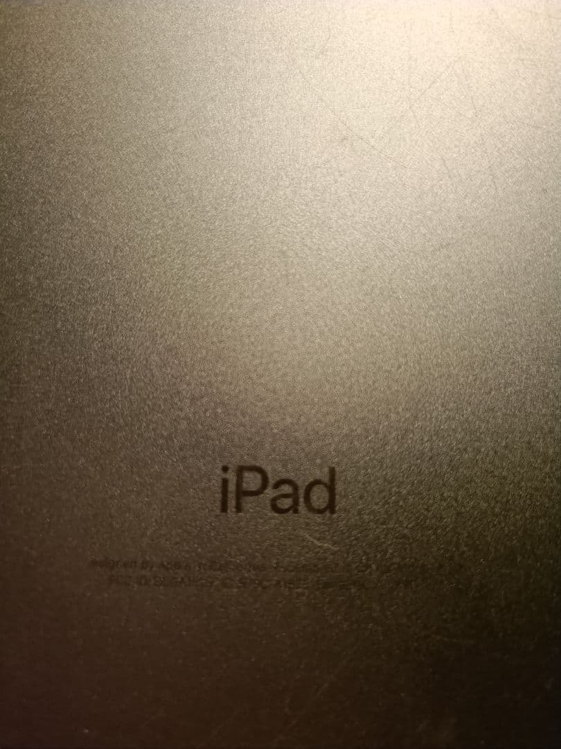 Apple iPad 本体