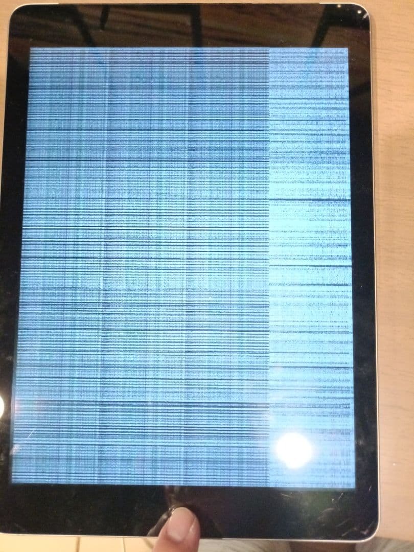 Apple iPad 本体