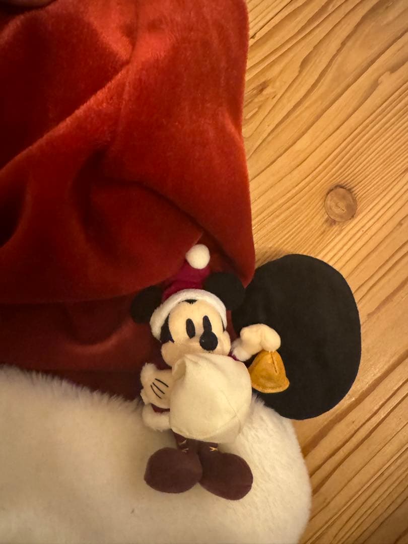 激レア ディズニー クリスマス ファンキャップ