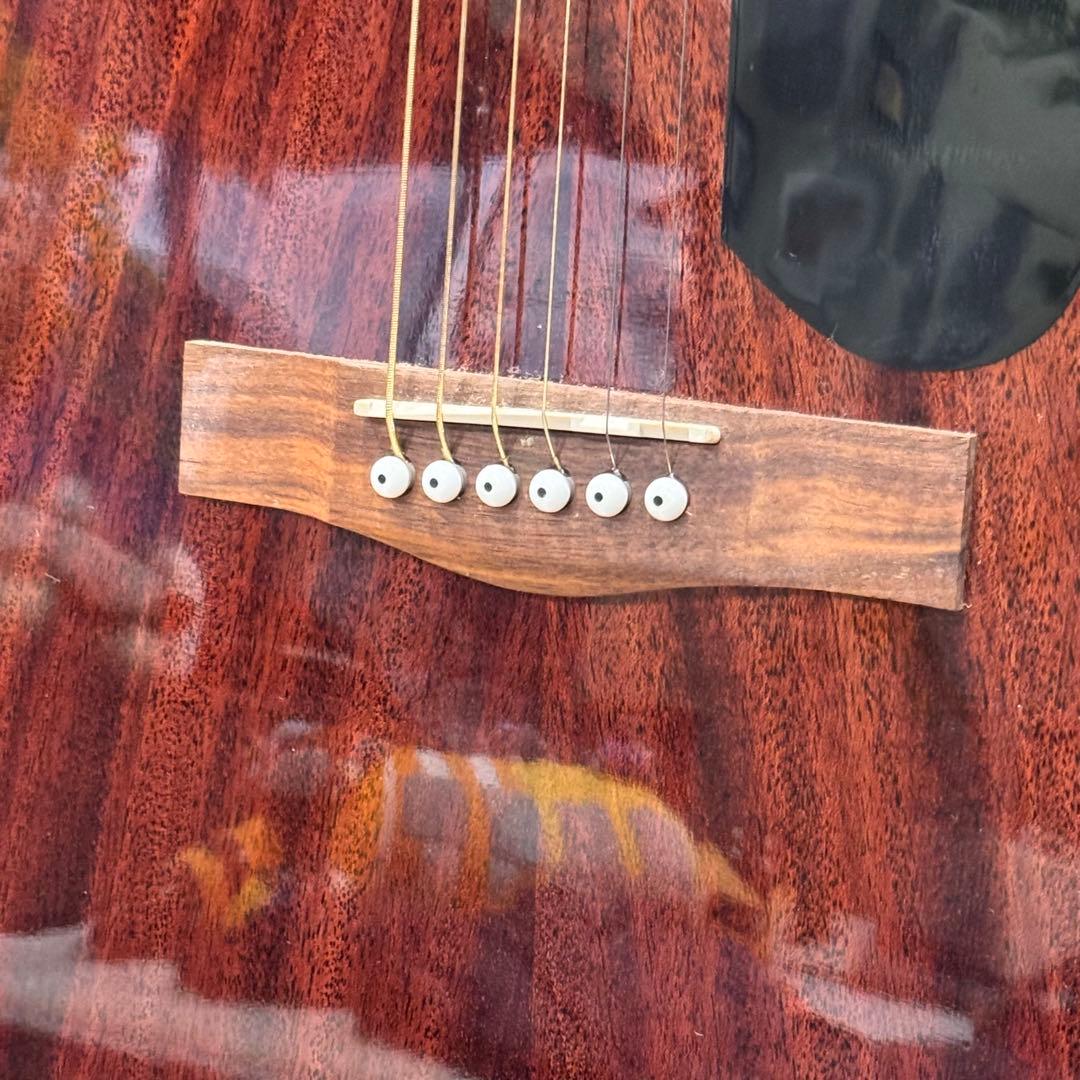 【Fender】アコギ CD-60S（付属品付き）