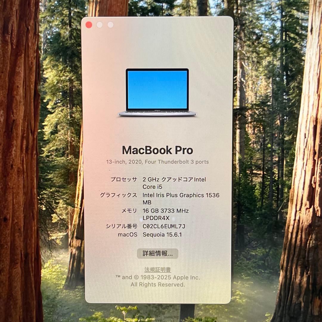 超美品 MacBook Pro 2020 i5/1TB/16GB 13インチ