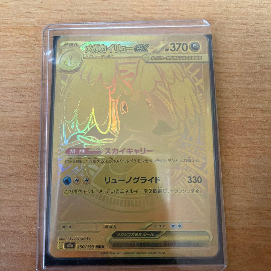 フ*ウ様 メガカイリューEXMUR & メガジガルデEXMURカードセット