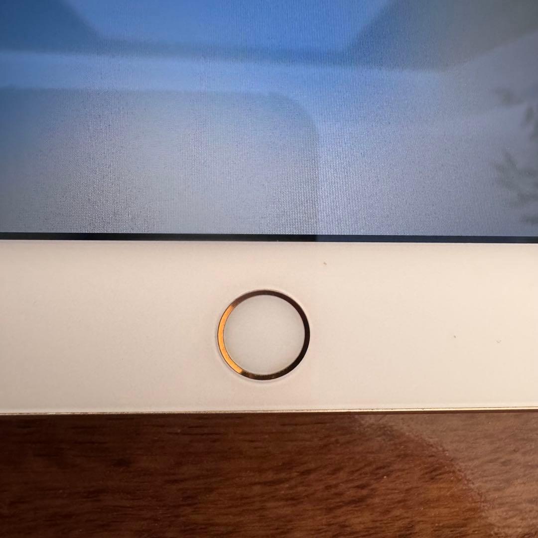 美品 iPad Air2 32GB wifi+Cellular 動作確認済