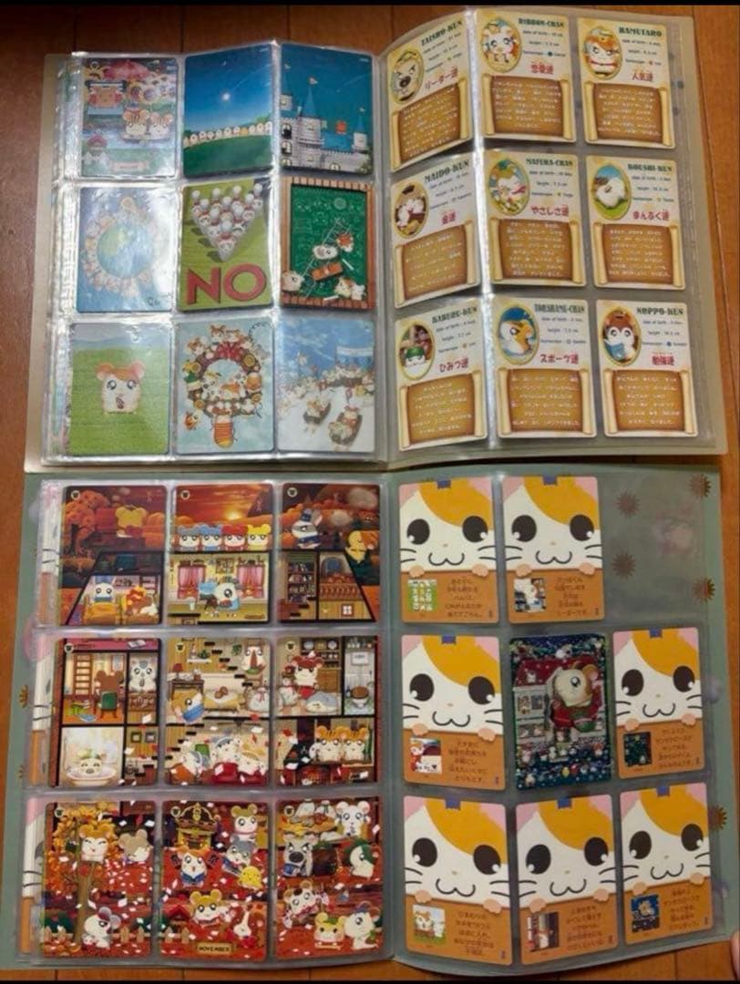 はむたろっとカード　ファイル付き