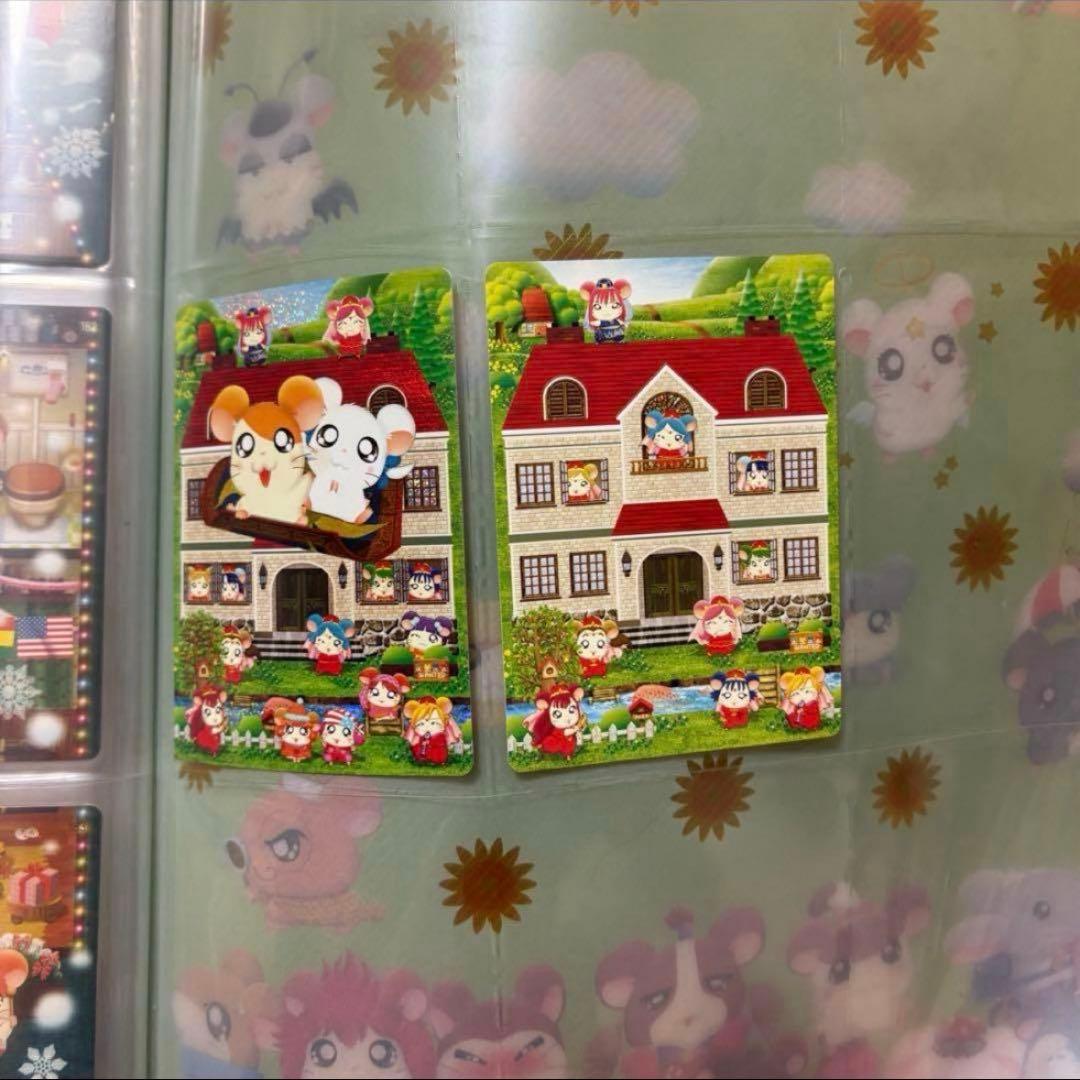 はむたろっとカード　ファイル付き