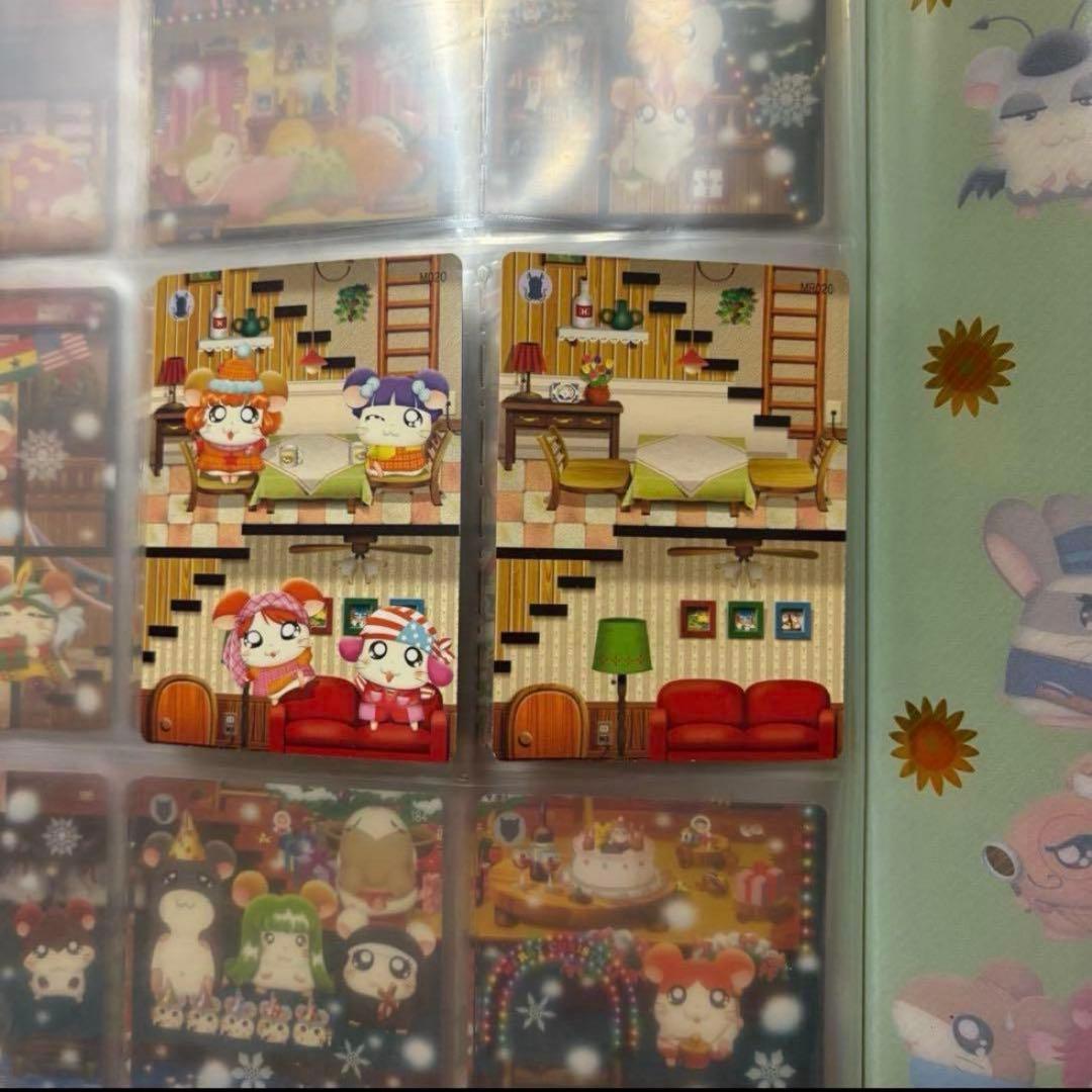 はむたろっとカード　ファイル付き