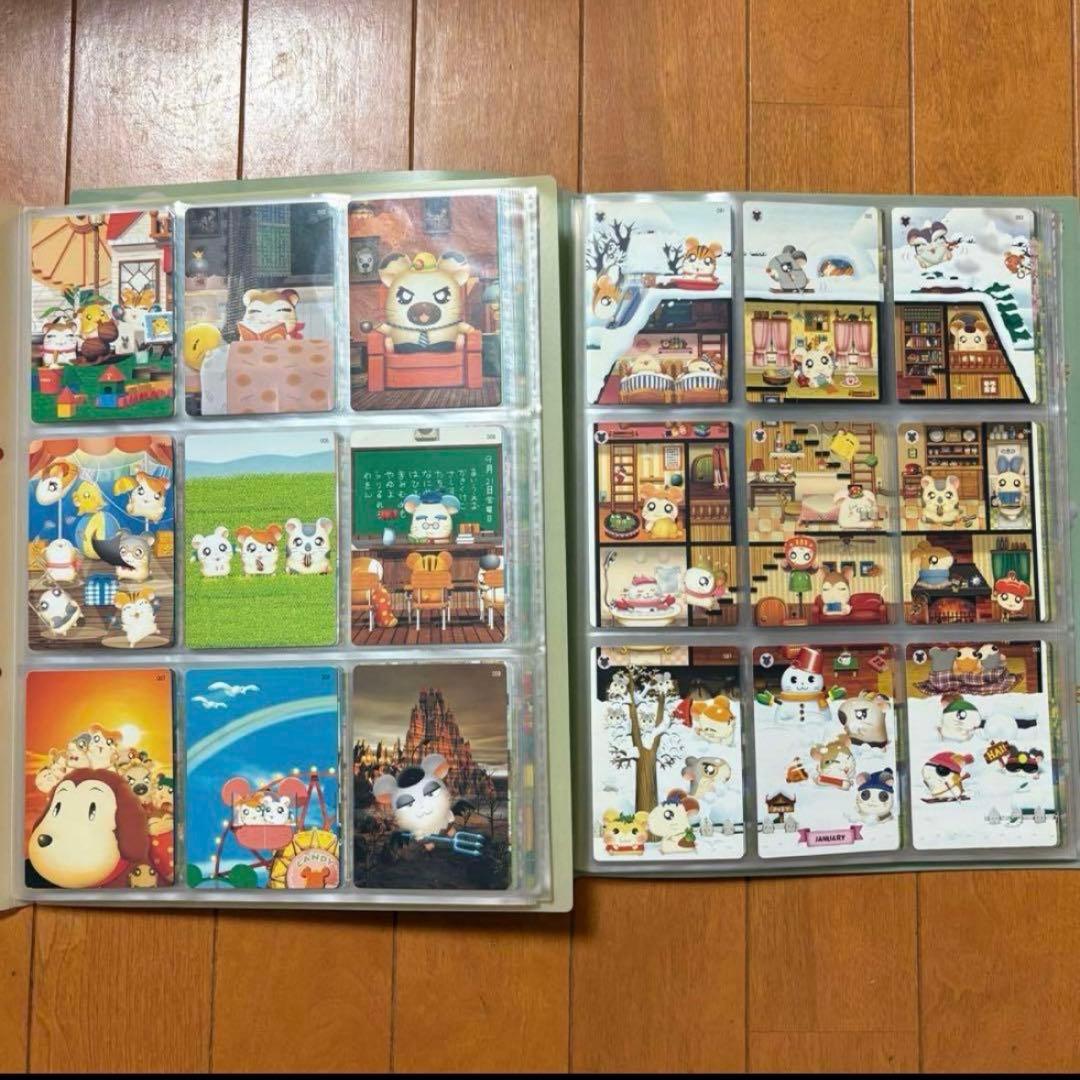 はむたろっとカード　ファイル付き