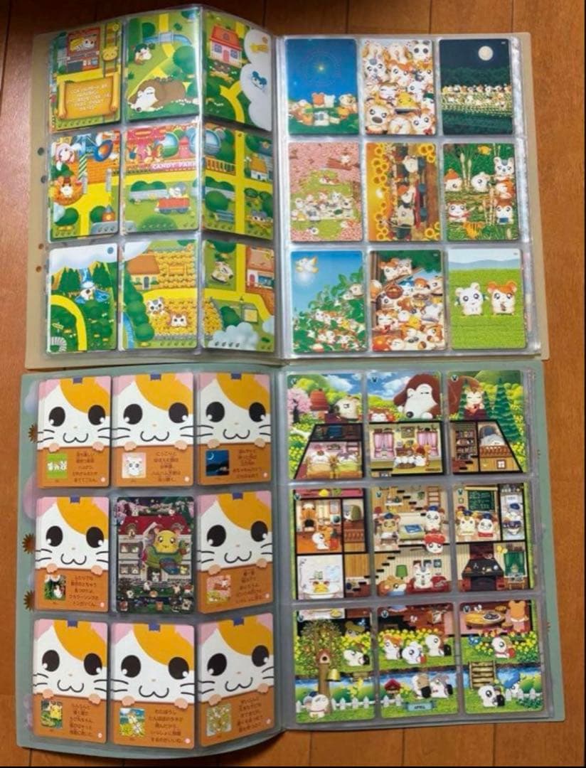 はむたろっとカード　ファイル付き