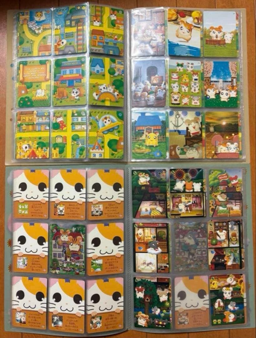 はむたろっとカード　ファイル付き