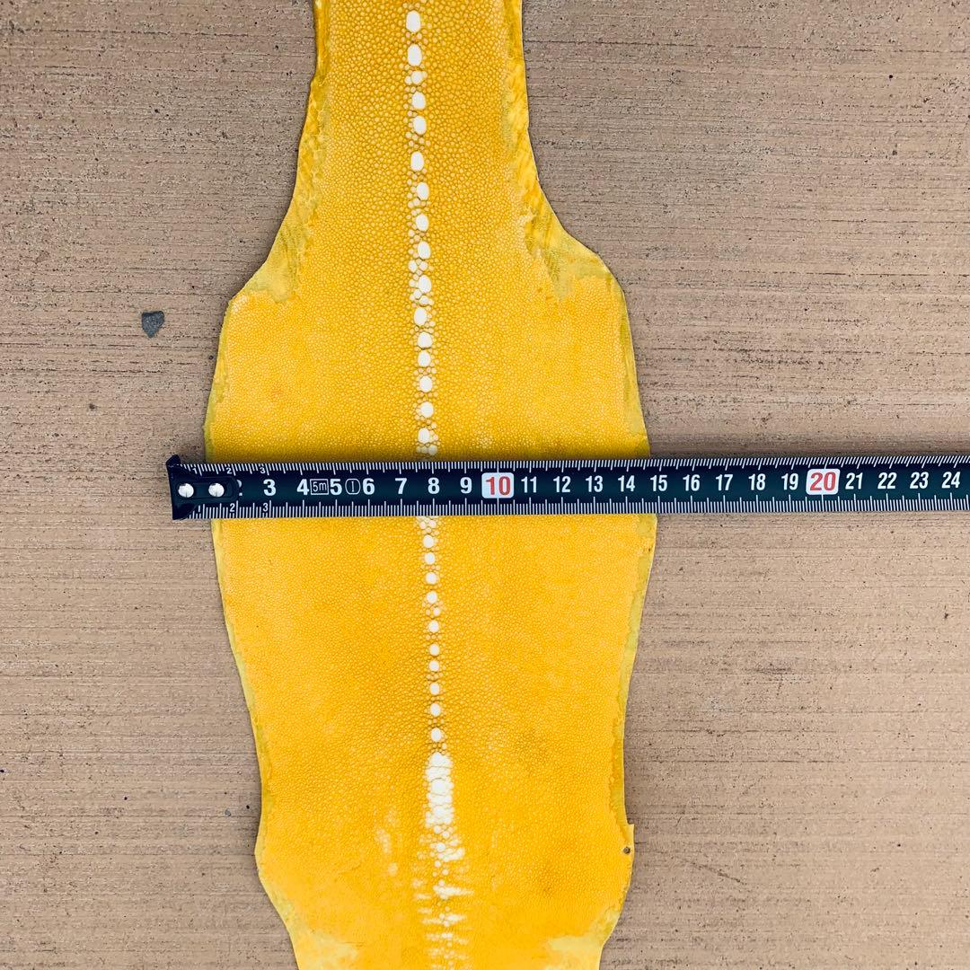 31 AA 連石 ローストーン エイ革 鮫革 スティングレイ スティングレー