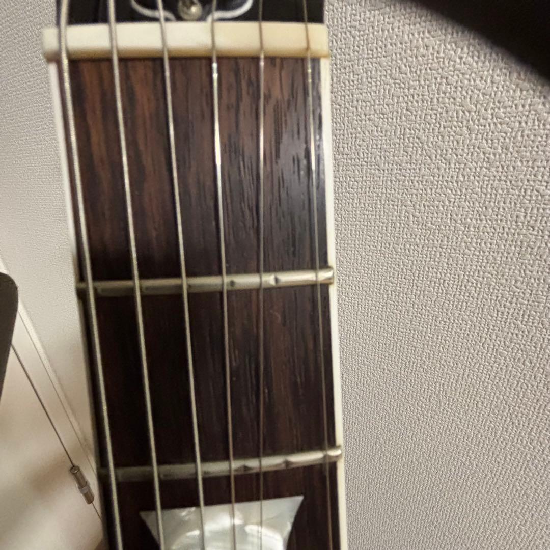 国産最高峰　フジゲンJ Standard SG