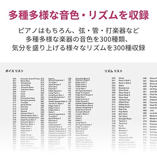 TORTE トルテ 電子キーボード 61鍵盤 日本語表記 300ボイス 軽DXT
