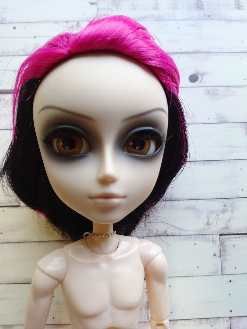 テヤンドール　hide　本体のみ