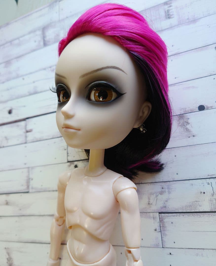 テヤンドール　hide　本体のみ