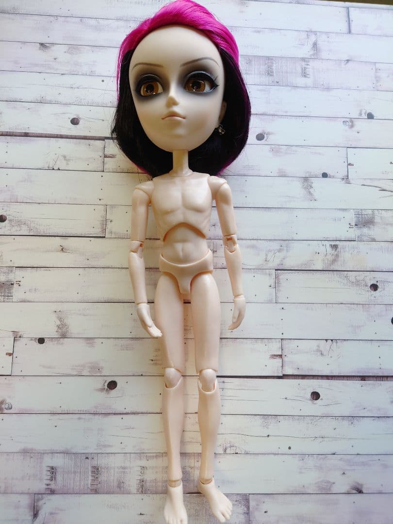 テヤンドール　hide　本体のみ