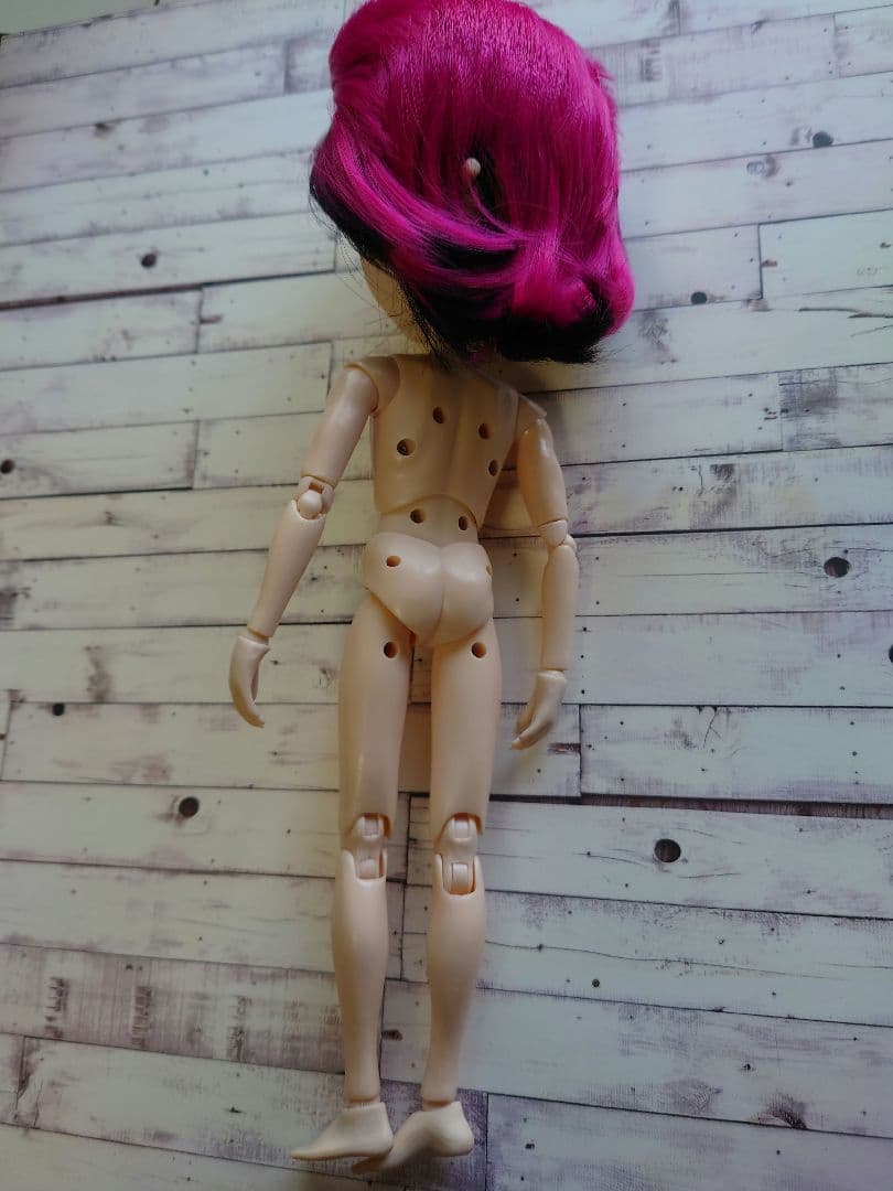 テヤンドール　hide　本体のみ