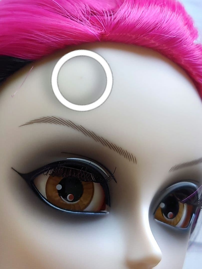 テヤンドール　hide　本体のみ