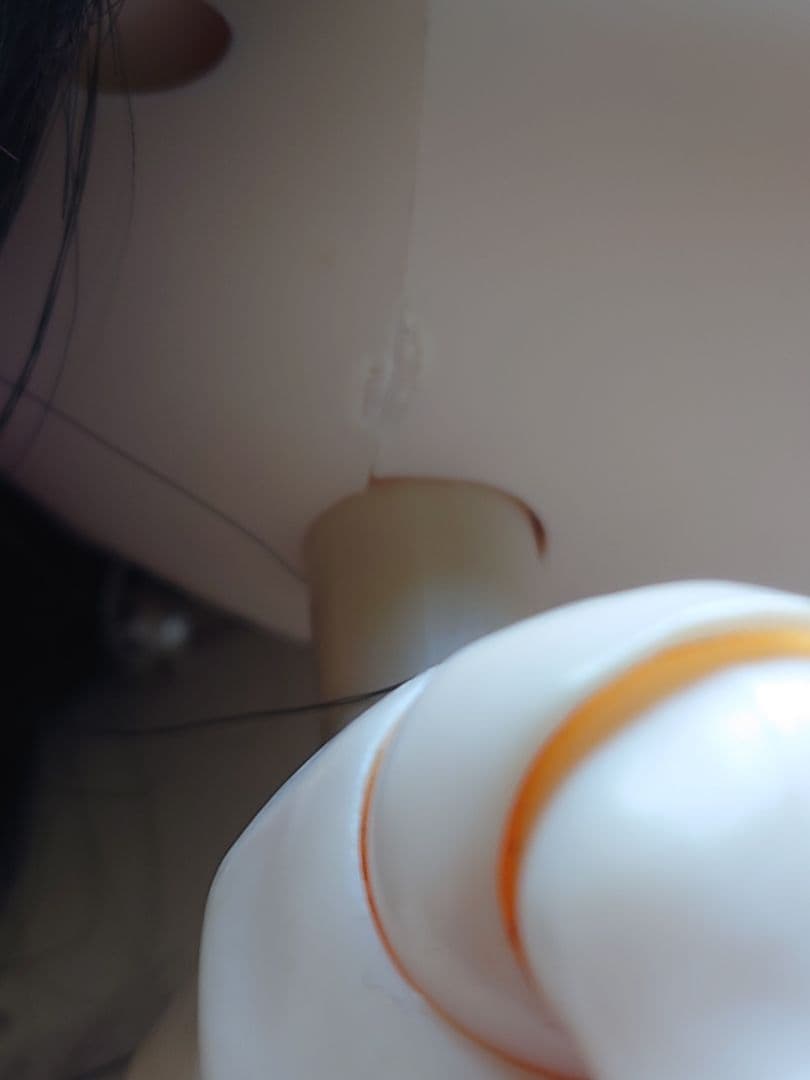 テヤンドール　hide　本体のみ