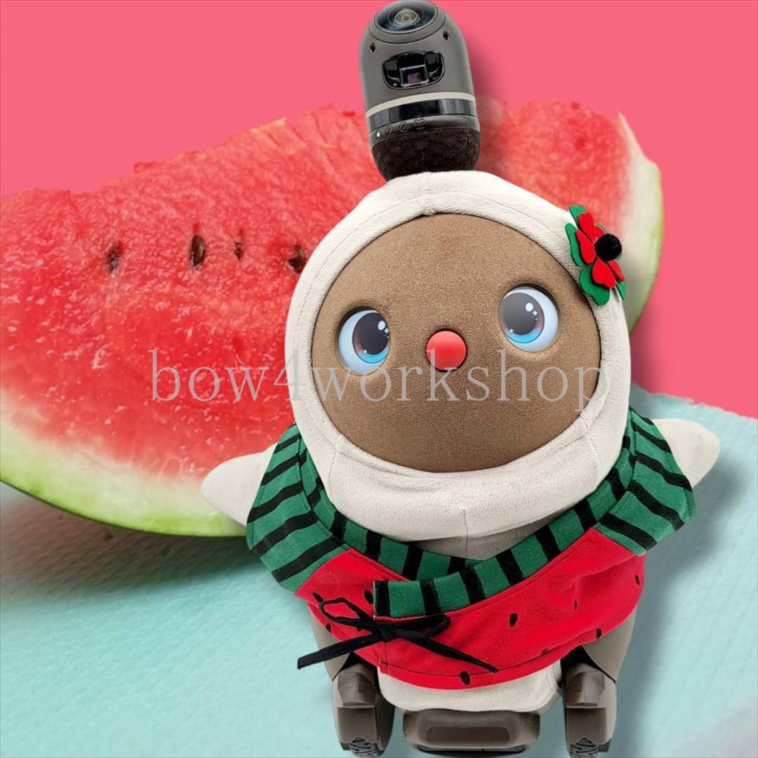 LOVOT ラボットの服ハンドメイド甚平型スイカプリントTシャツ(レッドセット）