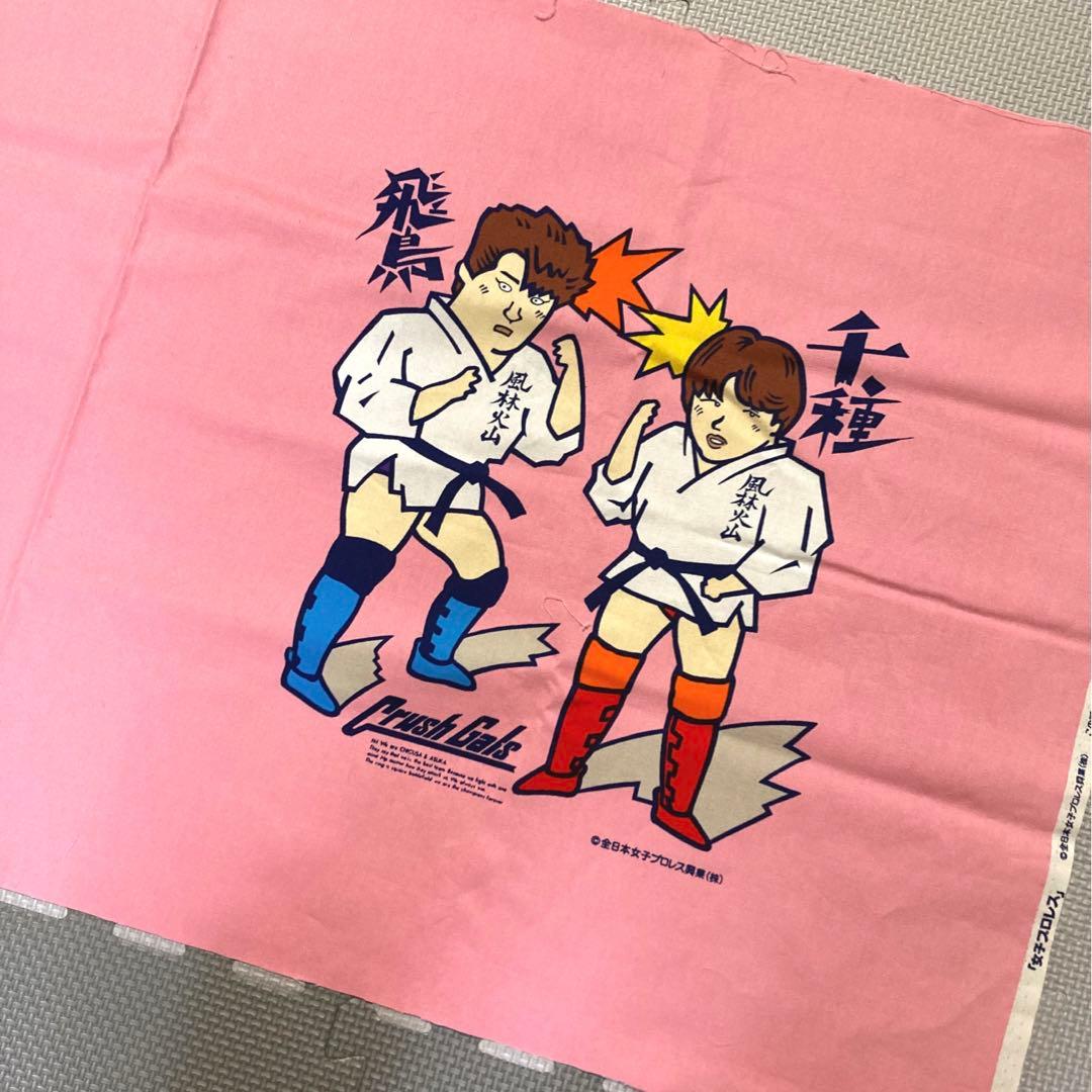 crush gals極悪同盟 全日本女子プロレス　ダンプ松本　ブル中野　昭和