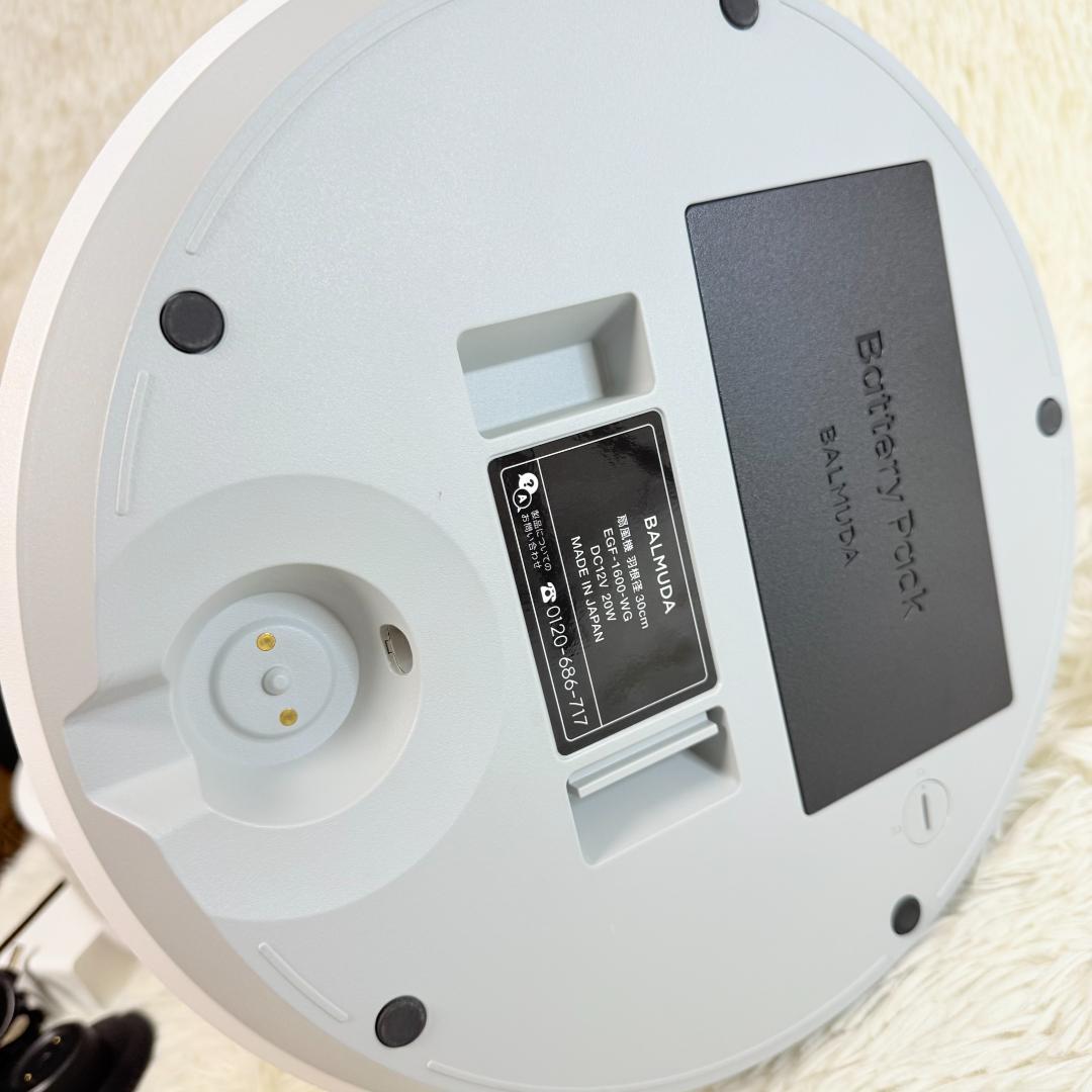 BALMUDA ザ・グリーンファン