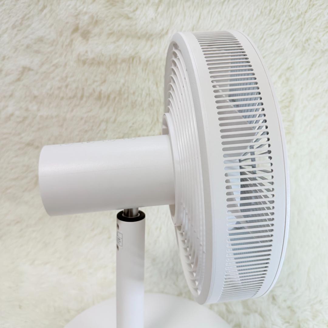 BALMUDA ザ・グリーンファン