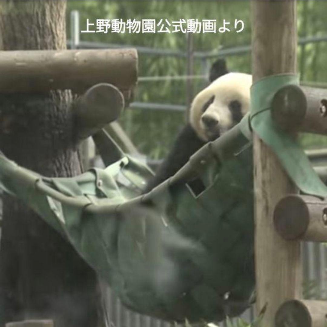 ✿オーダー受付ページ✿シャンモックお出かけバッグ♡Mサイズ２歳シャンシャン用