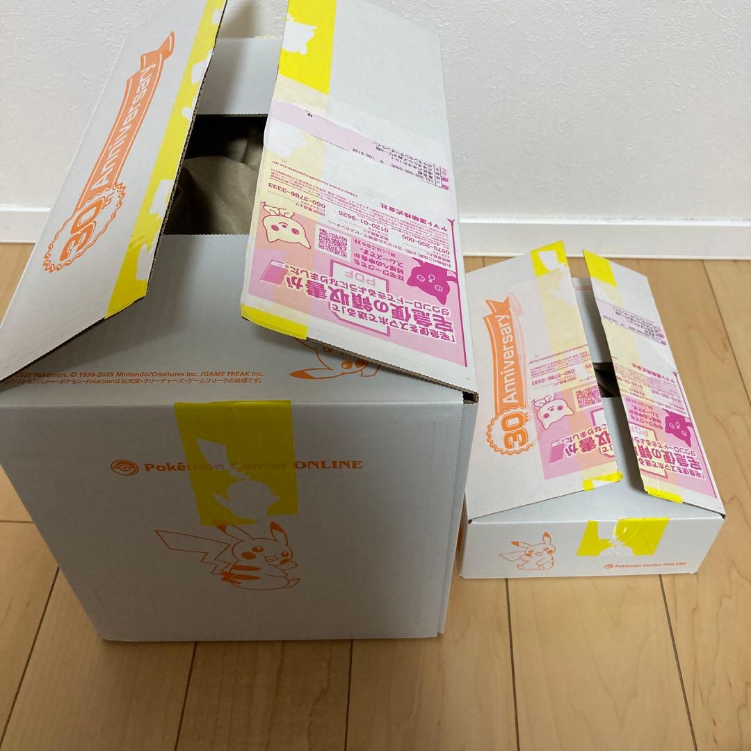 はじまりのピカチュウ　ぬいぐるみ キーホルダー2個セット　タグ付　外箱2種付き