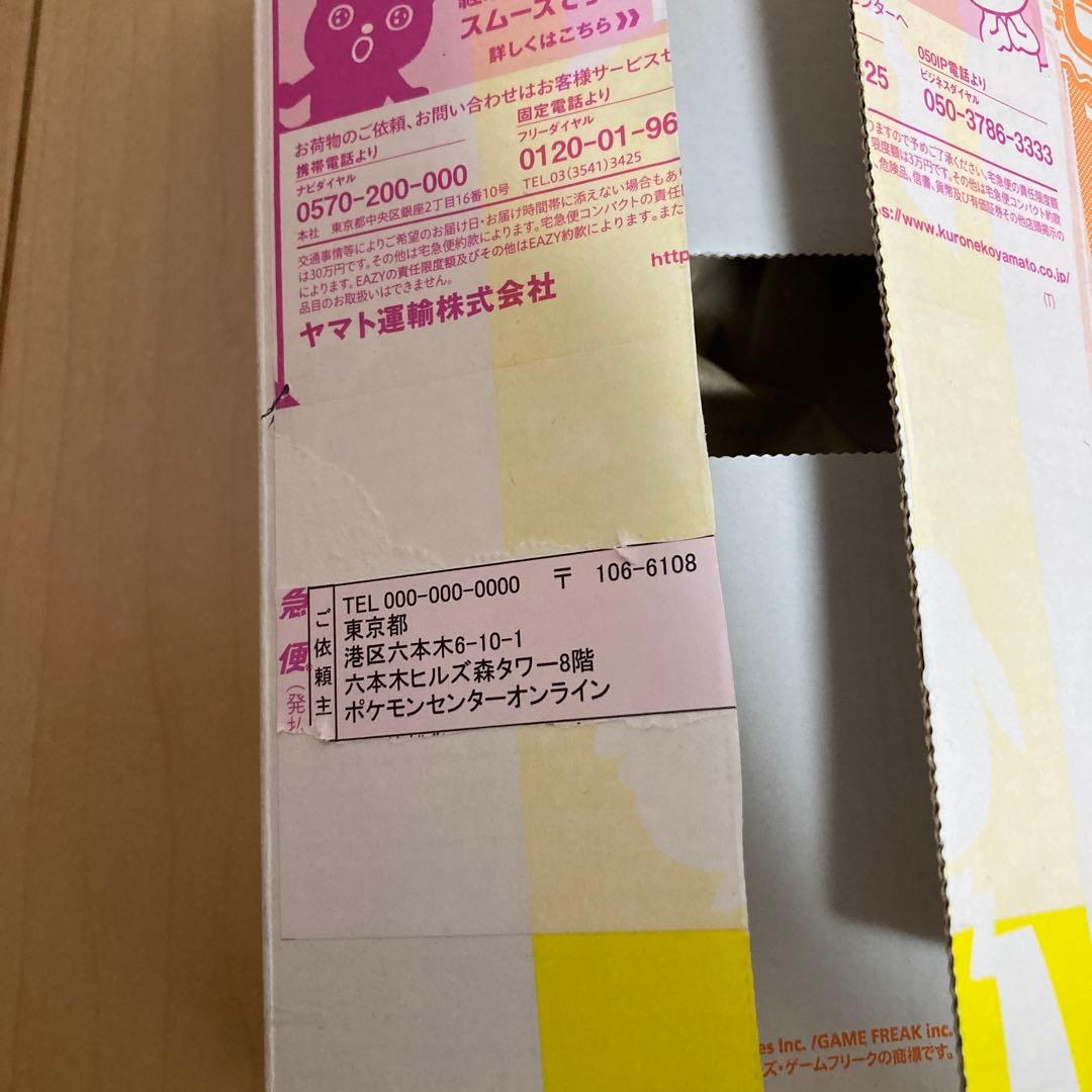 はじまりのピカチュウ　ぬいぐるみ キーホルダー2個セット　タグ付　外箱2種付き
