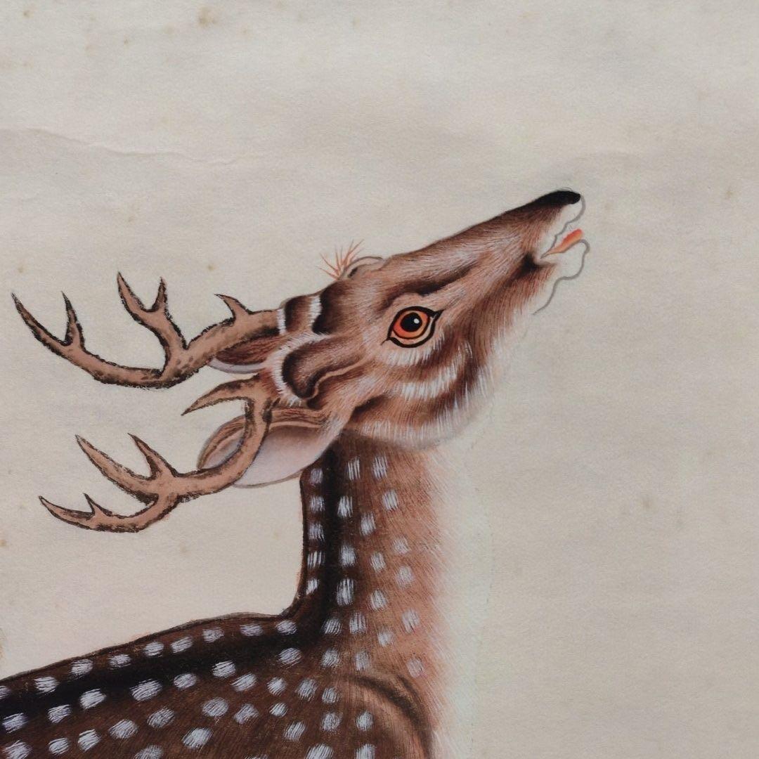 沈铨 鹿鶴同春 中堂 掛け軸｜証書付き・防偽仕様｜中国画・縁起物