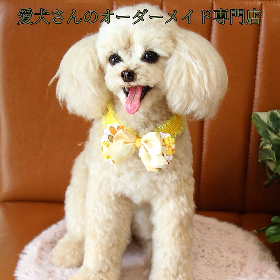 羊毛フェルト オーダー 犬 置物 ペット　愛犬さんのオーダー