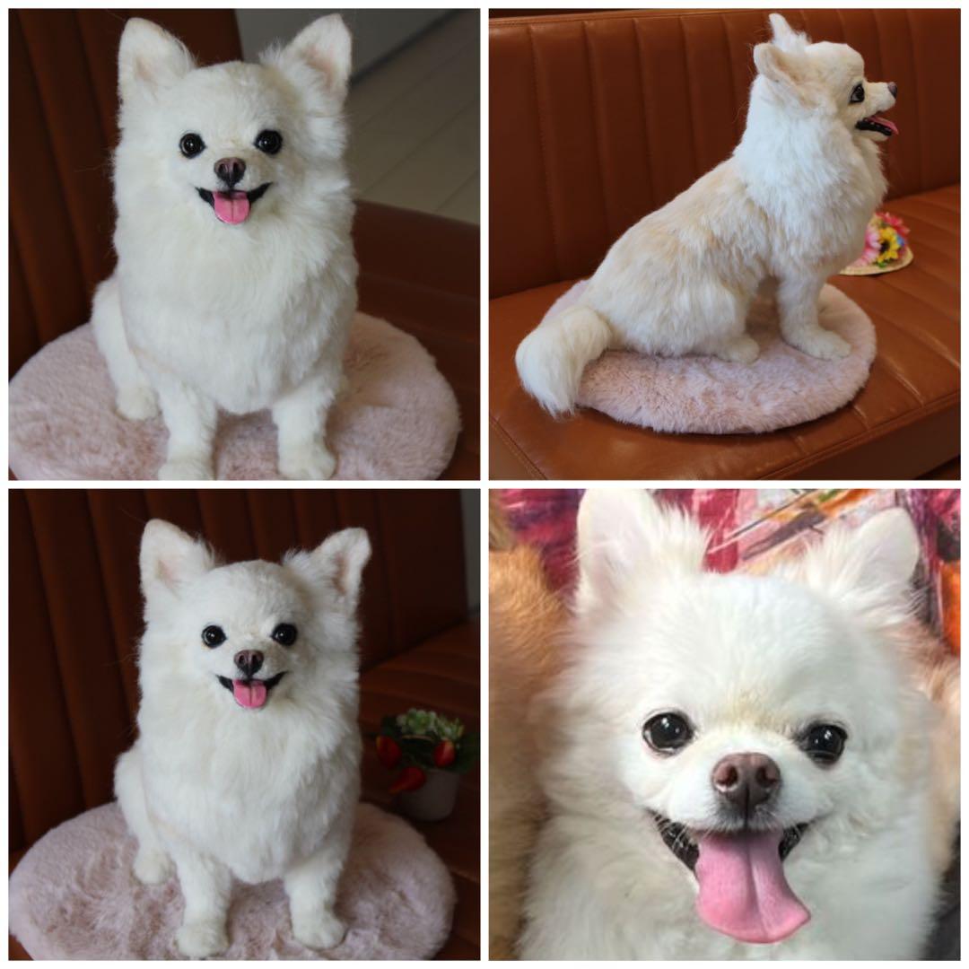羊毛フェルト オーダー 犬 置物 ペット　愛犬さんのオーダー