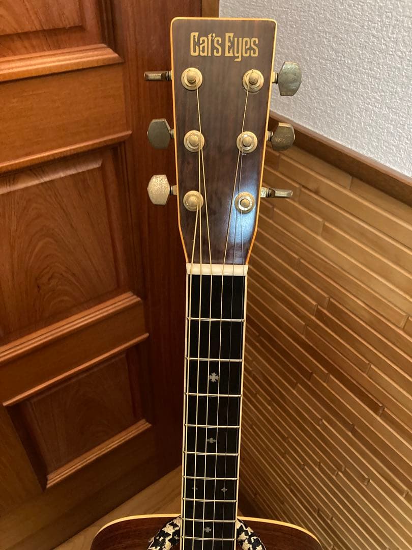 スーラータンさん専用　cat's eyes CE500アコースティックギター