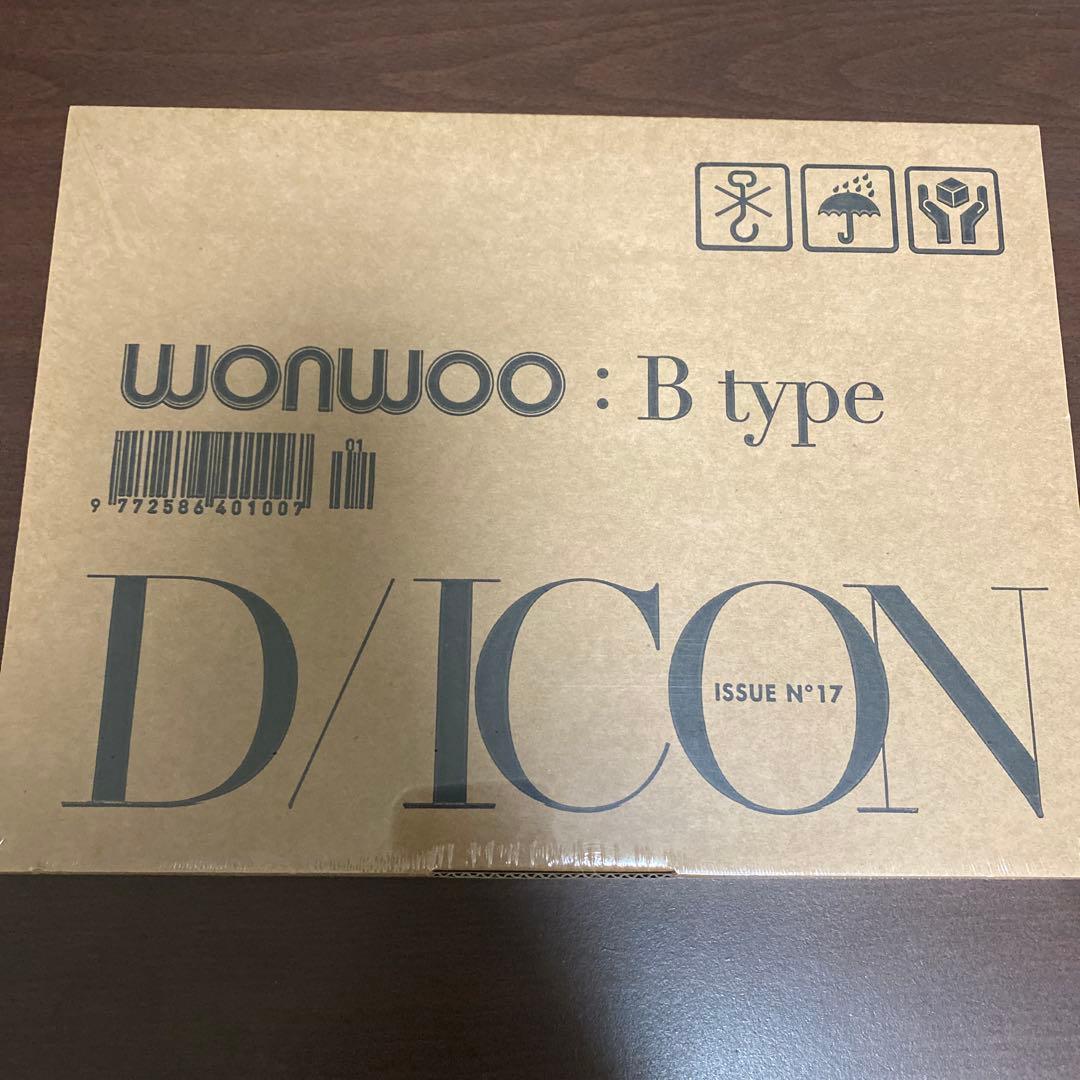 SEVENTEEN DICON ウォヌ ジョンハン 写真集 セブチ