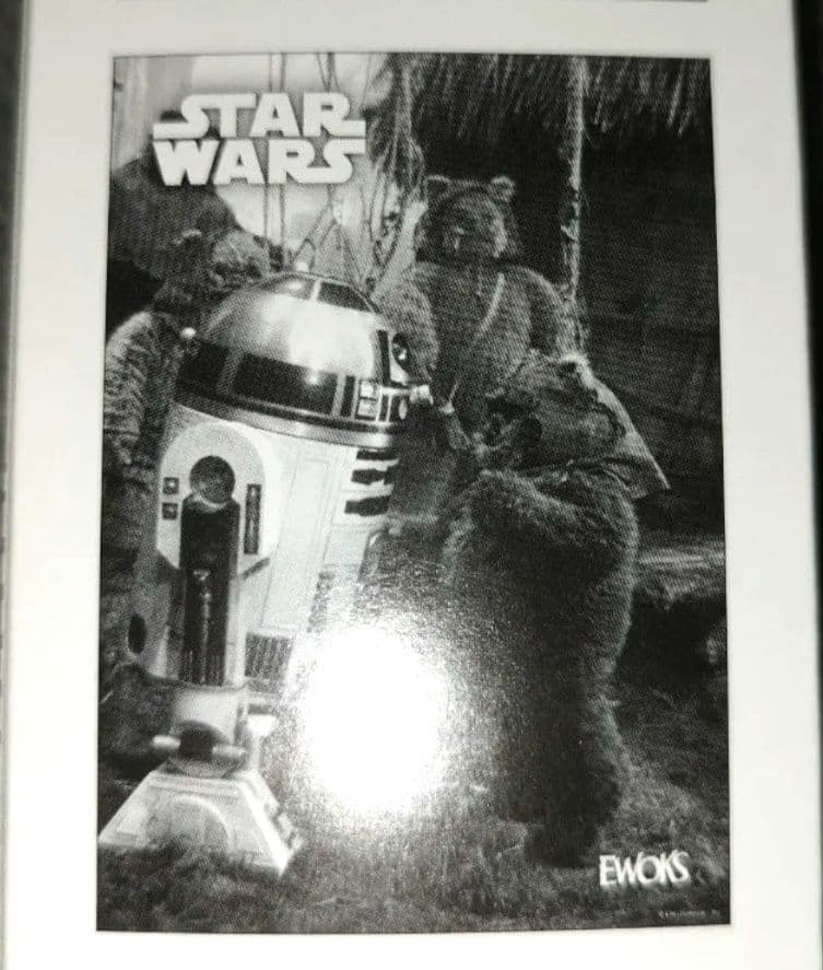 スターウォーズ　イウォーク　ハッピーくじ　ラスト賞　ウィケットBig ぬいぐるみ