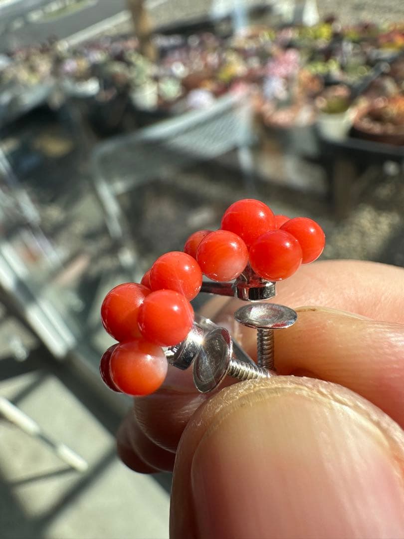 サンゴ　赤珊瑚　イヤリング　ピアス　アクセサリー　ヴィンテージ