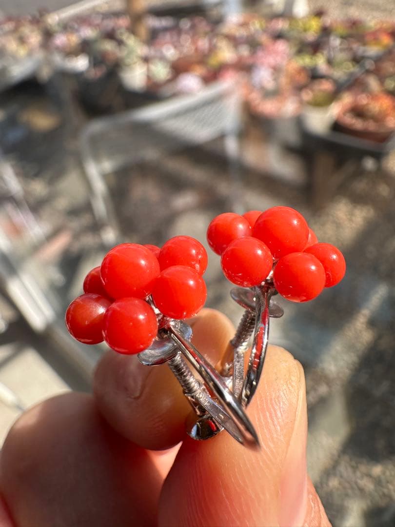 サンゴ　赤珊瑚　イヤリング　ピアス　アクセサリー　ヴィンテージ