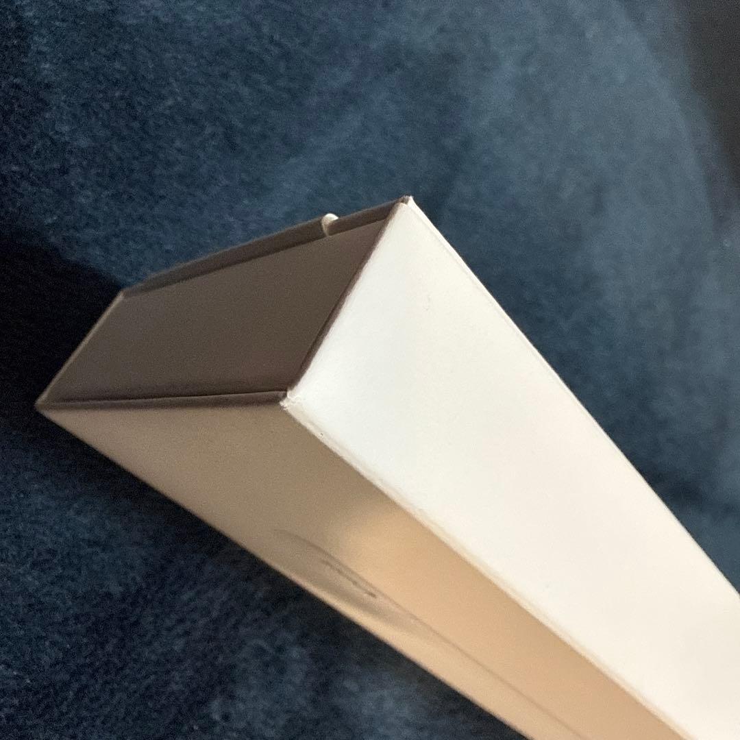 Apple Pencil（USB-C）新品未開封／正規品／即日発送可